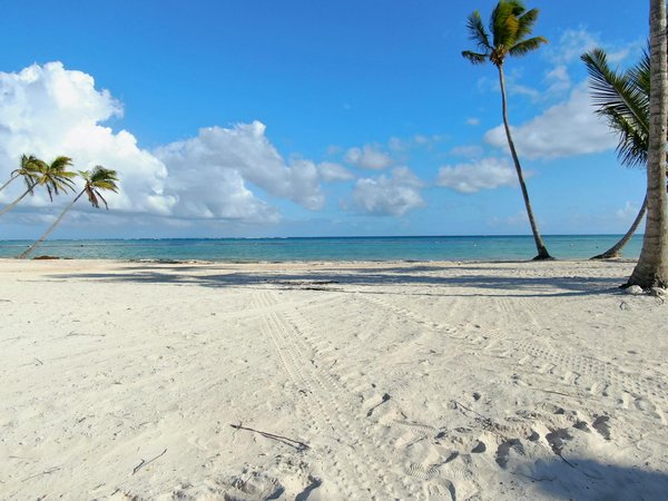 Quelle croisière propose des ateliers de sculpture sur pierre avec des artistes locaux en Inde?